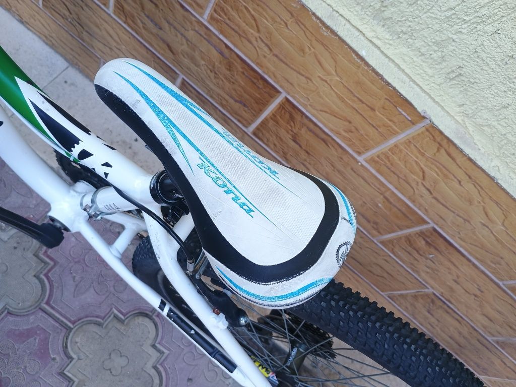 Kona 24 цола.         .