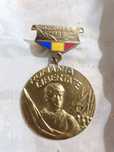 Insigna, medalie Luptator pt victoria Revolutiei din 1989.Poze reale!