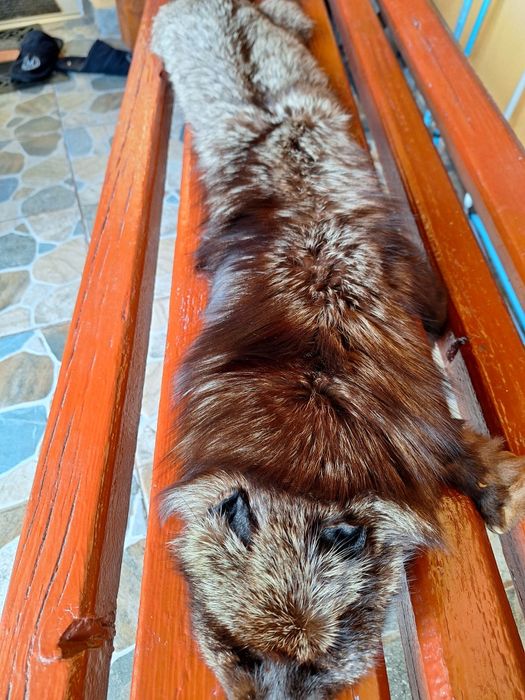 Vând haine de blană naturală