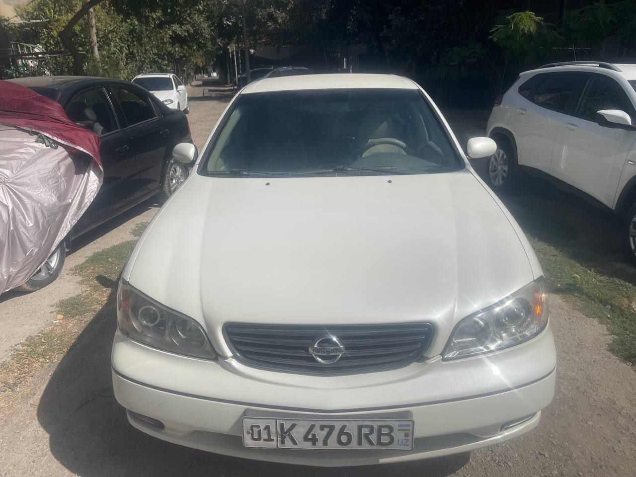 Продаю Nissan Maxima 2005