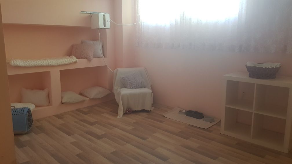 Хотел за котки в Пловдив