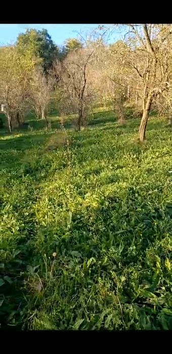 Teren de vanzare Calimanesti