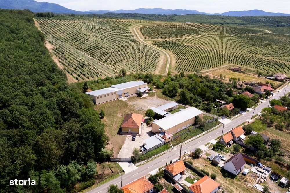 Cladiri cu spatii pentru productie/logistica, Sebis - (Prunisor)