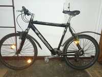 Bicicleta Mountain bike