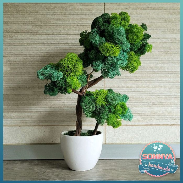 Copac cu 3 ramuri , cu licheni stabilizati