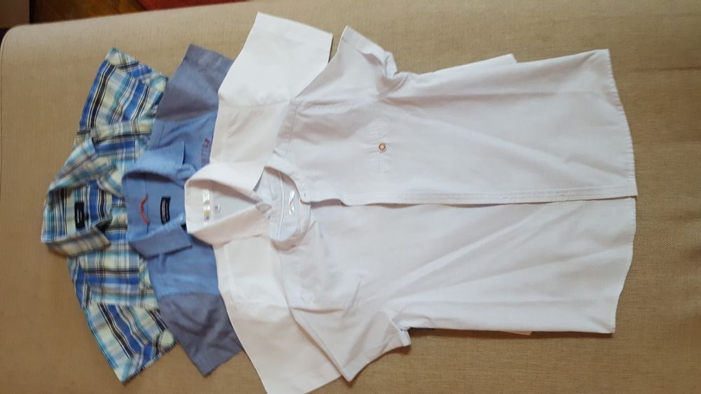 Camasi maneca scurta