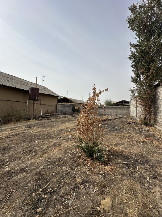 Тошкент Вилояти Паркент Туманида Дала ховли Сотилади 6-Соток