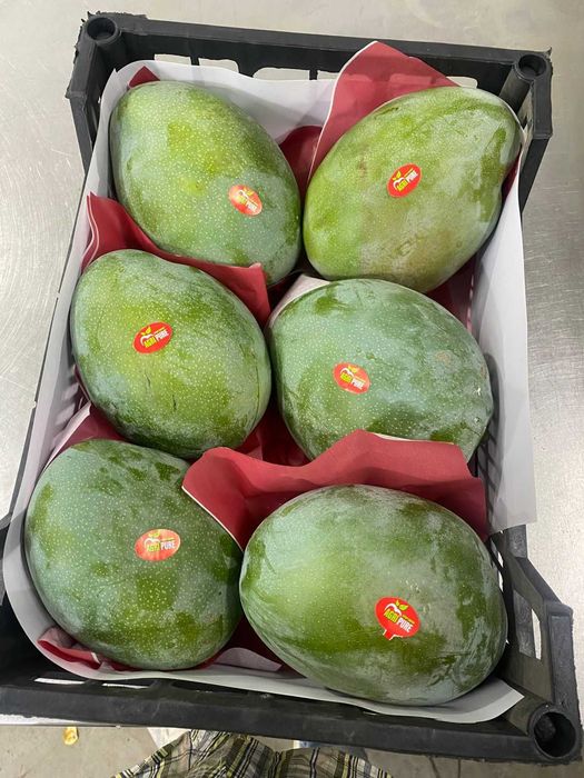 Mango ready to eat -  fructe din Egipt direct de la importator