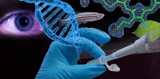 Meditatii Biologie pentru Bacalaureat si admitere UMF