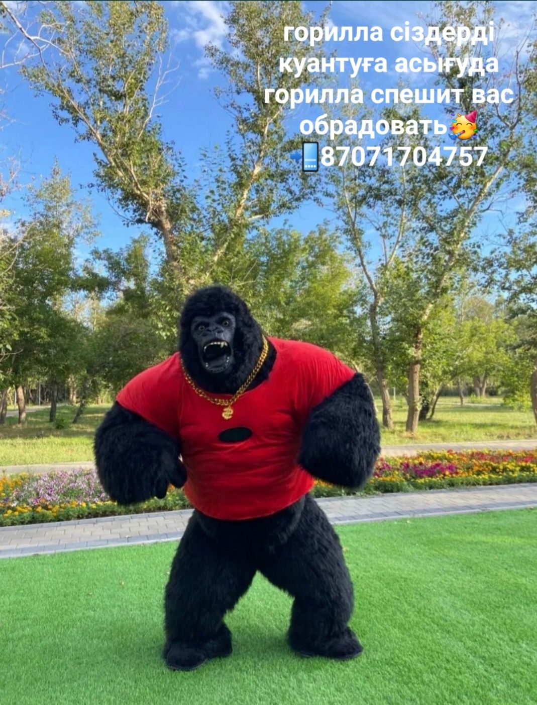 Горилла аниматор
