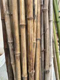 Araci/pari/stâlpi/tutori din bambus