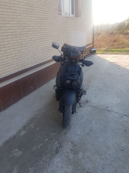 Wasat matasikl xolati yangi yili 25 xamma joyi radnoy oʻziniki