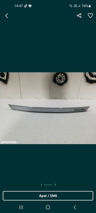 Ornament renault thalia