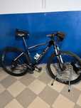 Bicicleta Focus Black Forest 29