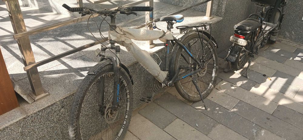 Velosiped arzon narxda