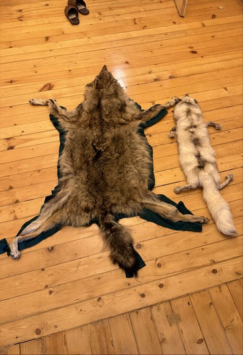 Кожа от Вълк и шал , яка от лисица