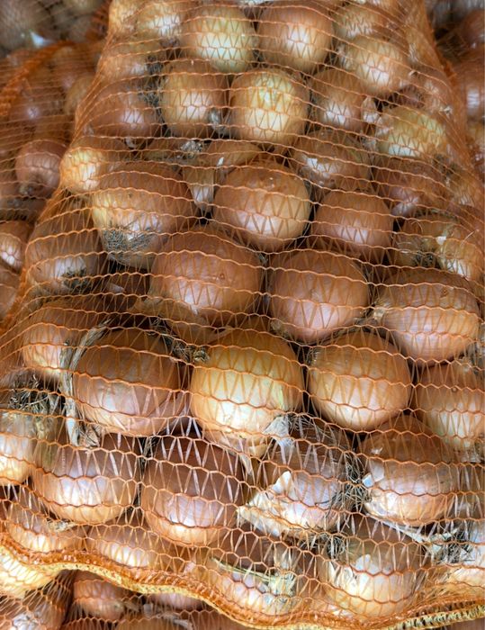 Ceapă galbenă – Calitate superioara engros