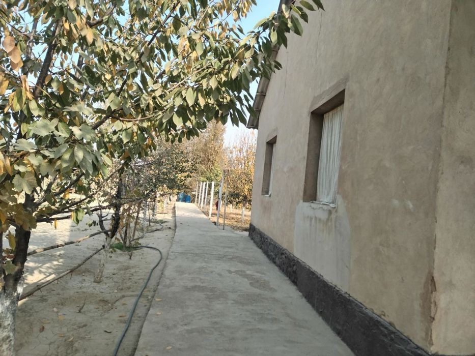 Uy sotiladi 10 sotix