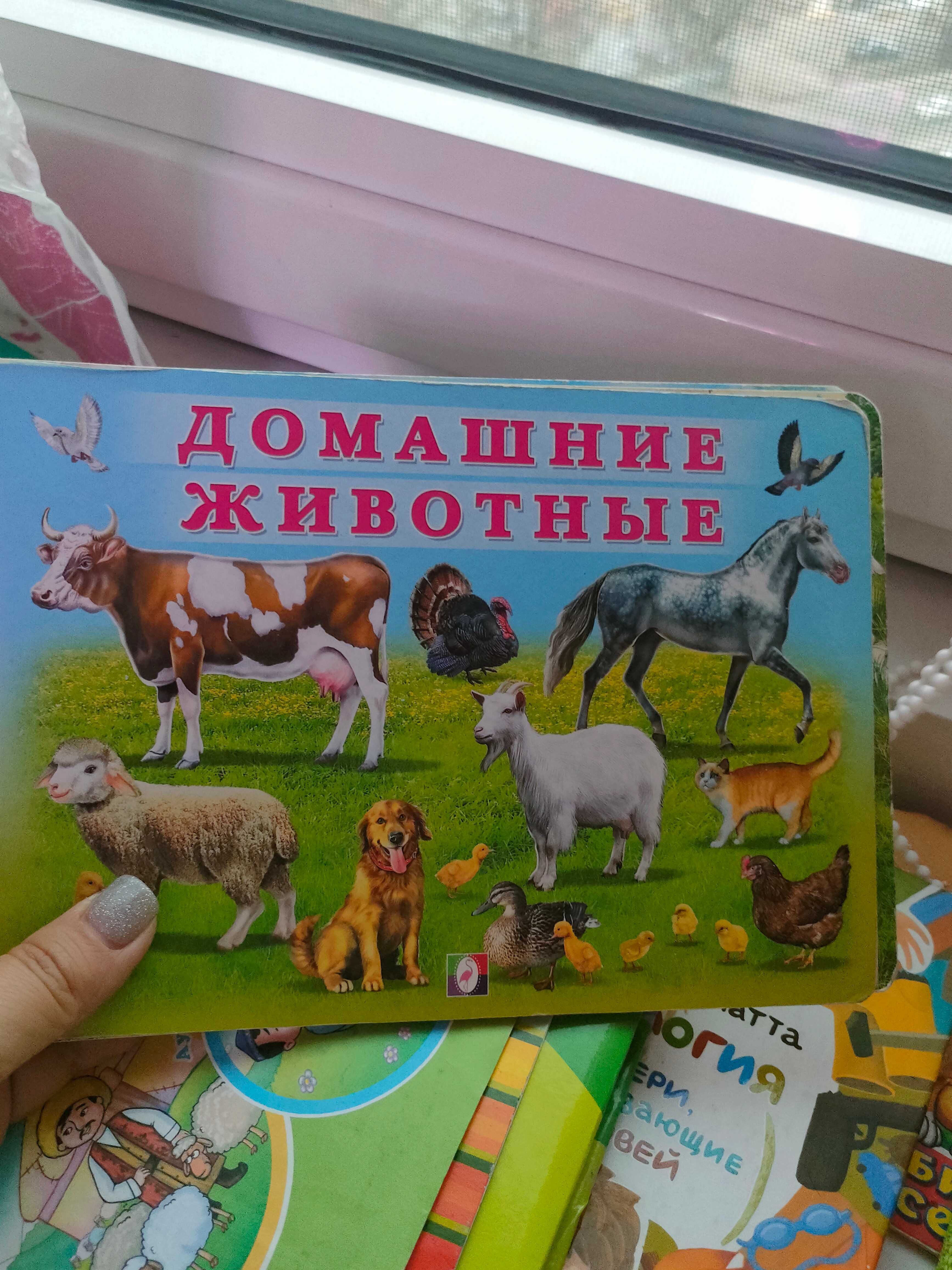 Книги на рус и казахском. Детские.