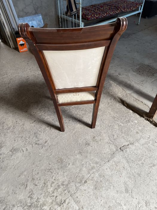 Sotiladi stullar 100 dona bor yengi