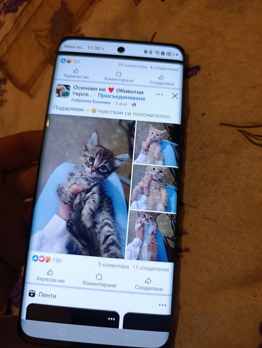 Honor Magic 6 lite