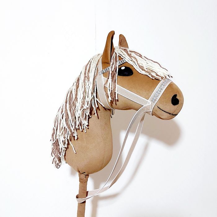 Hobby horse, cal cu baț
