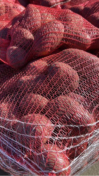 Cartofi alb si rosu import en gross