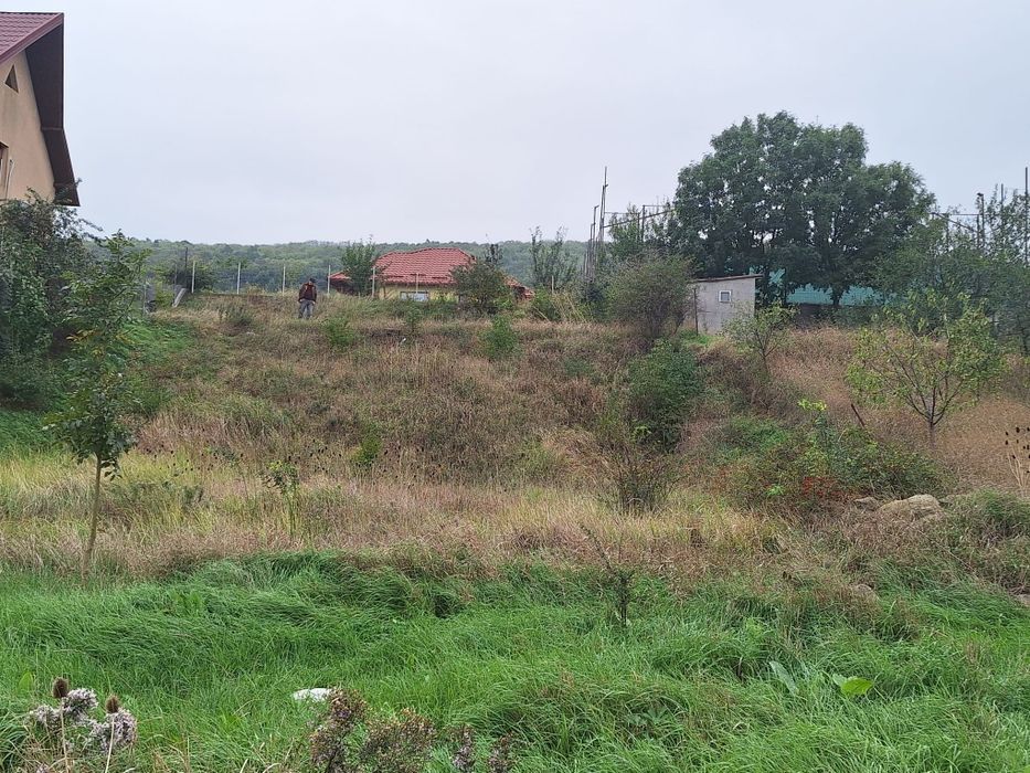 Teren Tomesti  intravilan 1000mp,gaz,apa,canal,asfalt,business