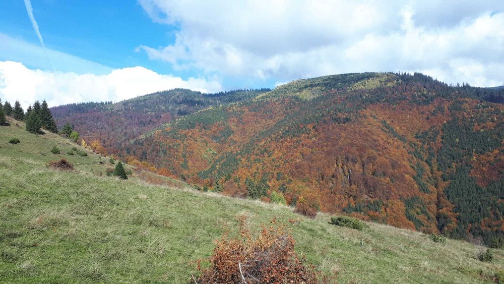 terenuri de vânzare comuna Lupșa