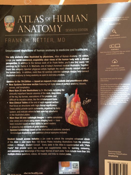 Atlas de anatomie Netter