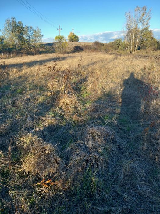 Vând teren intravilan 1600mp Suseni