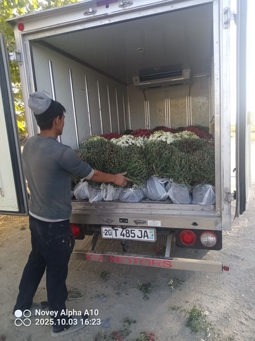 Кия бонго реф юк ташиш хизмати