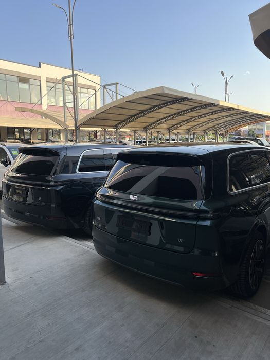 L9 ultra li9 lixian 9 ultra natariusli