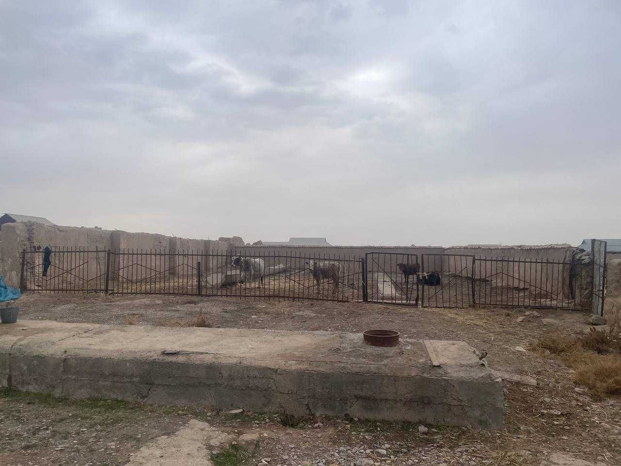 G`uzor tumanida Chorvachilik binosi bolib tolash sharti bilan sotiladi