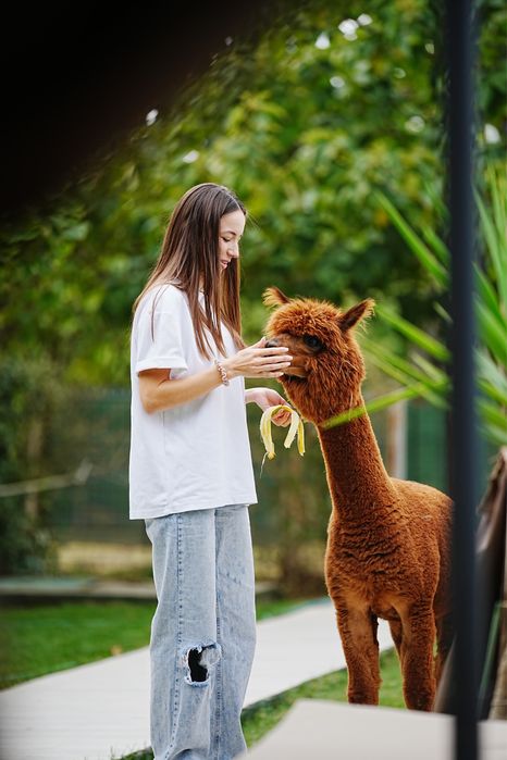 Mascul Alpaca & Caprita Anglo-Nubiana