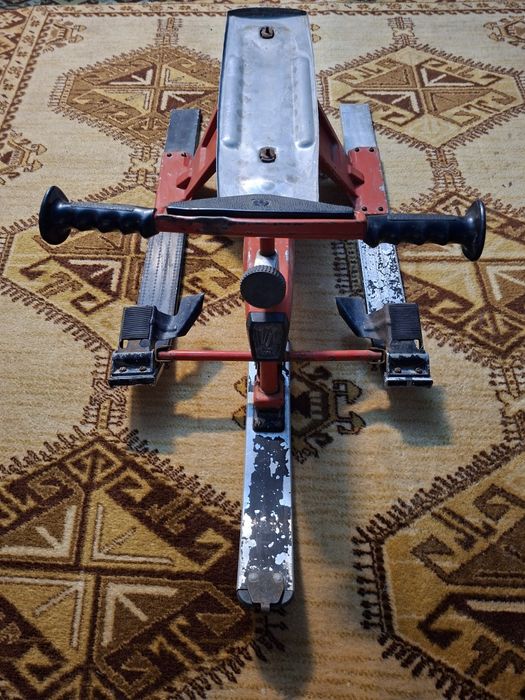 Sanie Bob Rusescă 1970