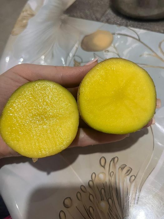 Үйдің картоп сатылады. Домашняя картошка