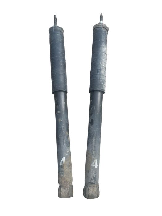 Set amortizoare spate MERCEDES-BENZ B-CLASS W245 2005 - 2011 E4-SR1-Z0