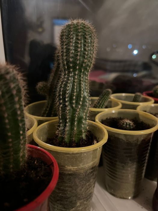 Обменяю или продам за символическую сумму