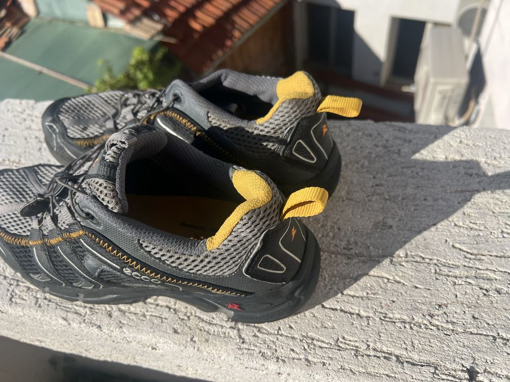 Ecco Receptor 43