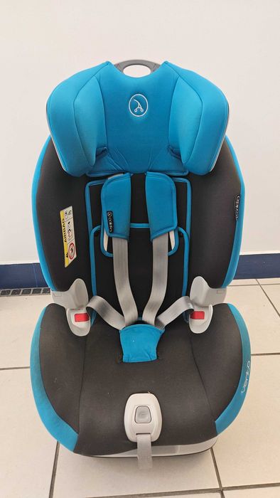 Scaun auto Coletto Vento Isofix Top Tether 0-25 Kg