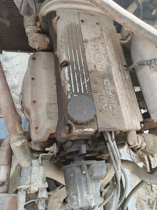 Mator antfrezda yogʻ olmaydi