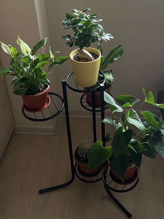 Метален цветарник - 5 саксии