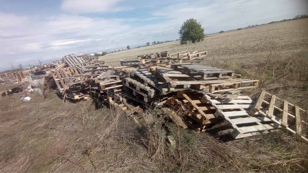 Продаваме палета за огрев