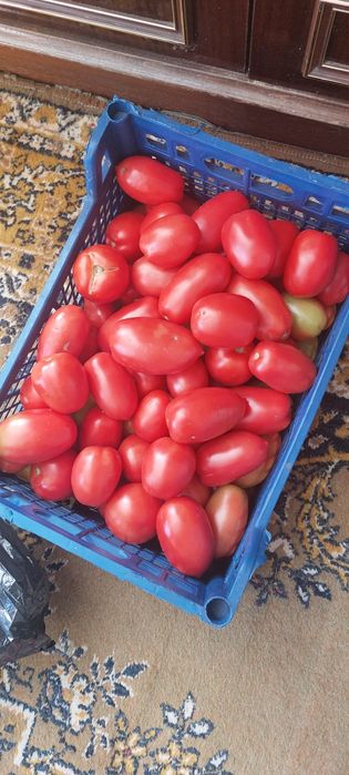 Продам домашние помидоры