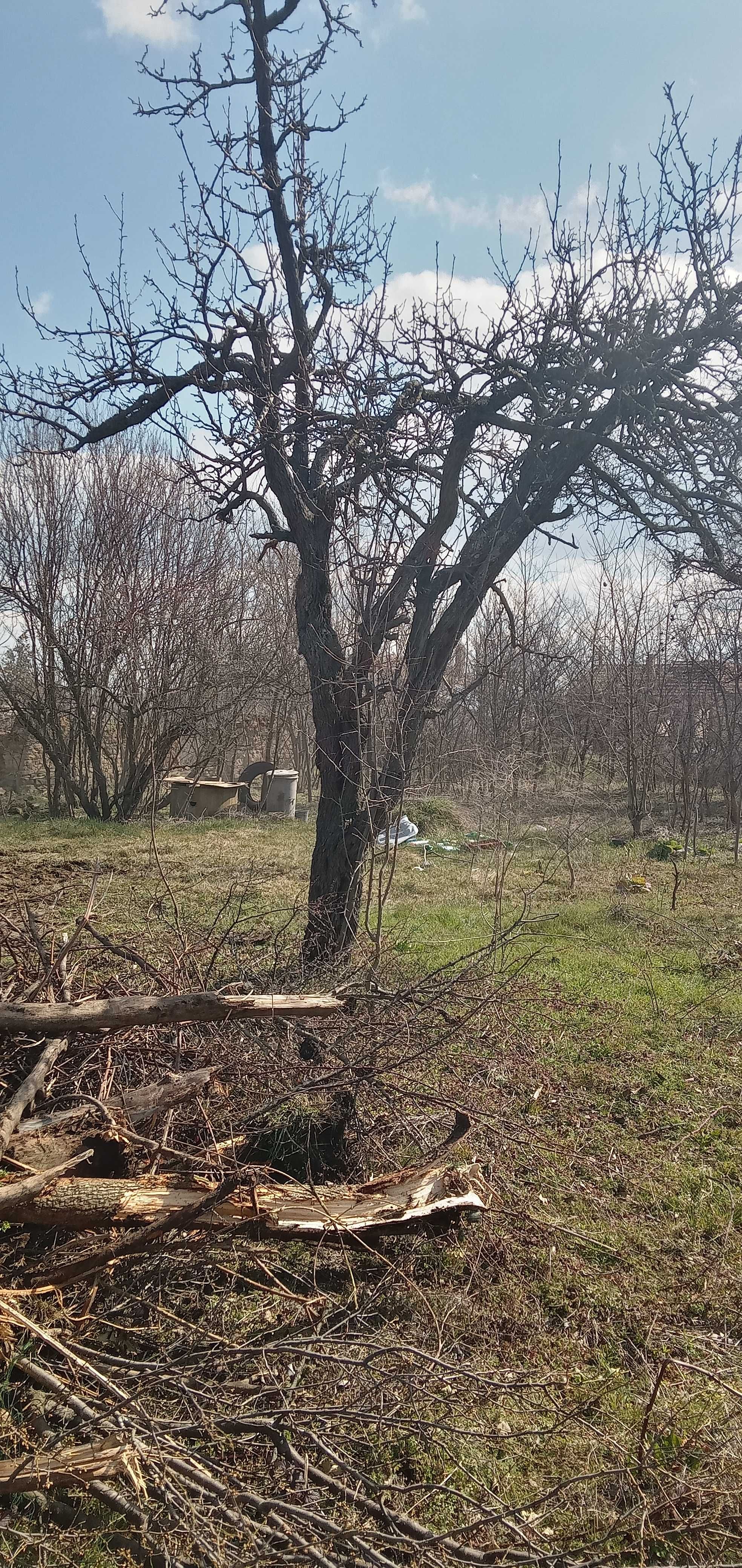 Дърва за огрев различни видове