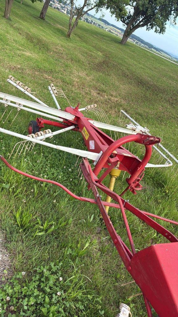 Grebla Fan Paianjen Adunat, Risipit  , Kuhn  ,Deutz