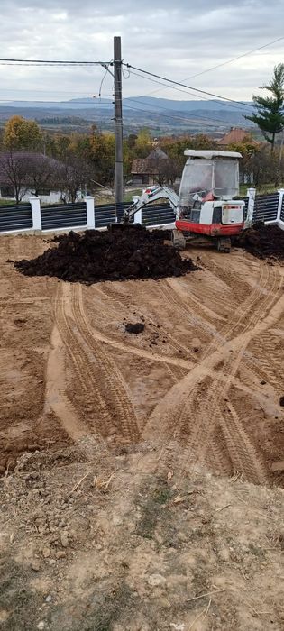 Nisip , balast, piatra ,lemne , gunoi calitatea 1