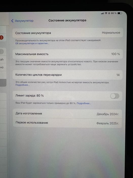 ipad pro 13 dyum M4 256 gb       yomkost 100