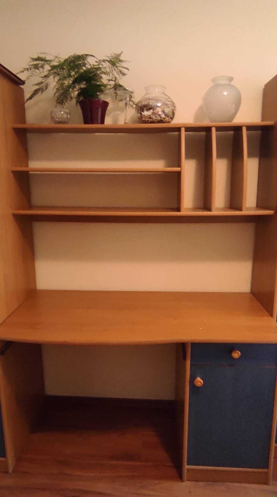 Секция за детска стая - гардероб, бюро и секция с 5 рафта